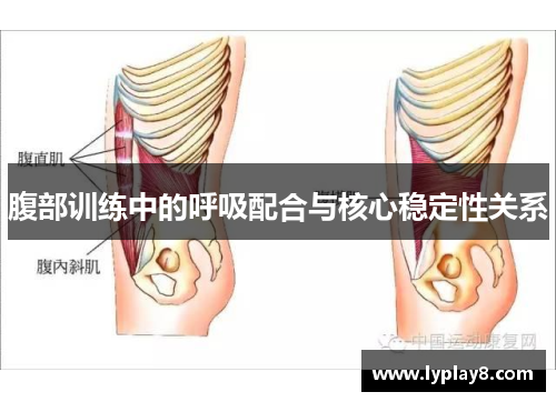 腹部训练中的呼吸配合与核心稳定性关系