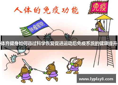 体育健身如何通过科学恢复促进运动后免疫系统的健康提升